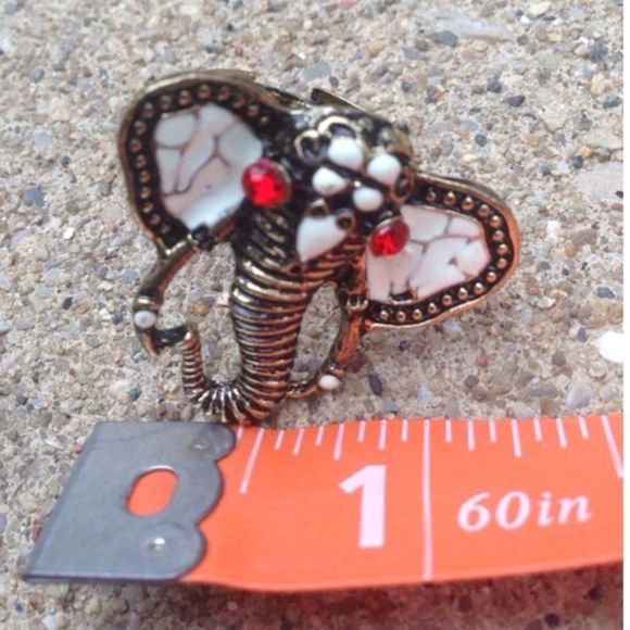 (C2) Elephant Ring - Picture 3 of 4